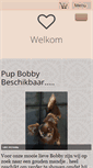 Mobile Screenshot of chihuahua-kennel-lulu.nl