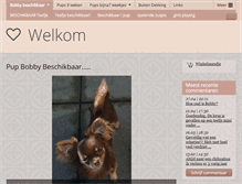 Tablet Screenshot of chihuahua-kennel-lulu.nl